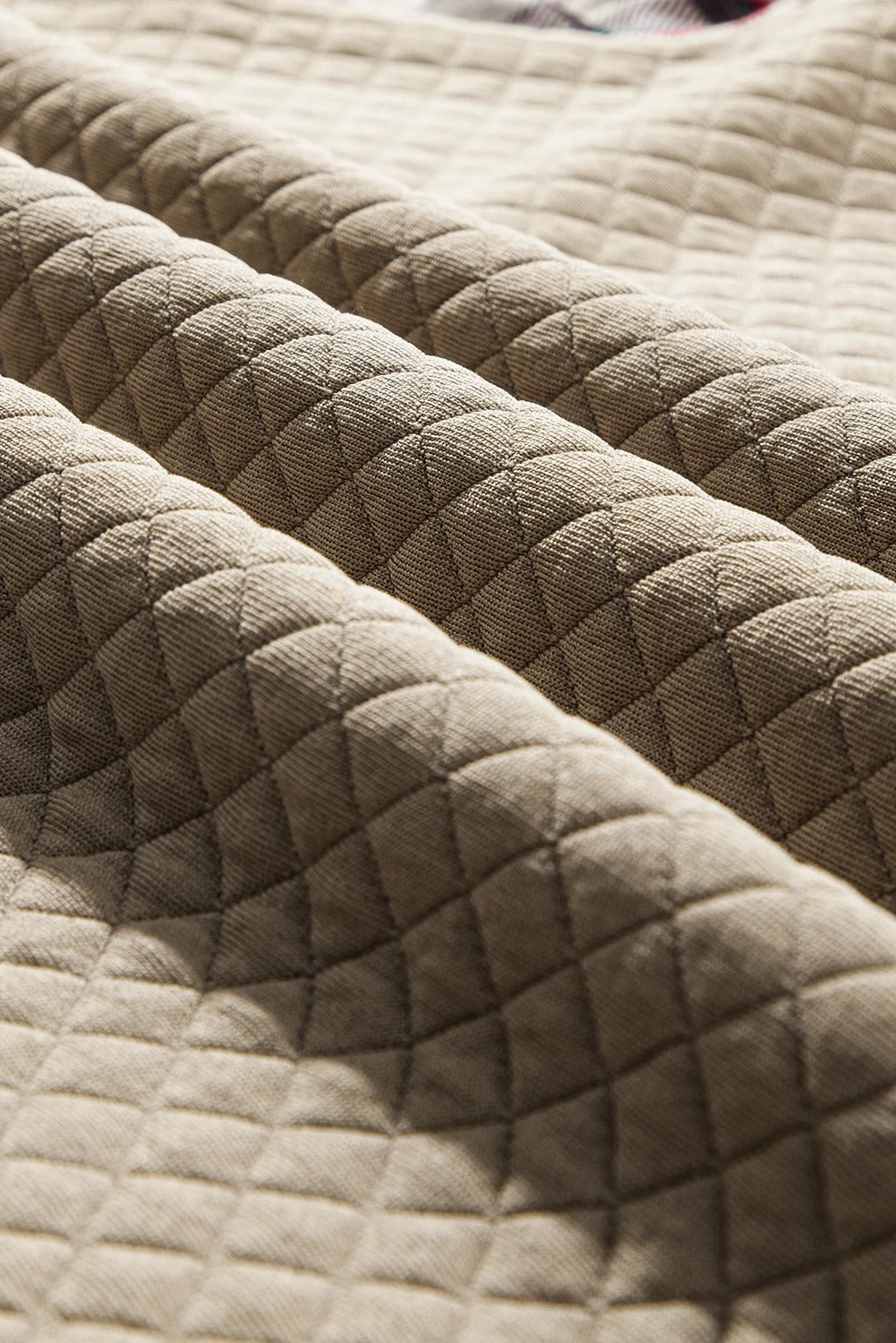 Apricot Plus Size Plaid Raglan Sleeve Crew Neck Sweatshirt